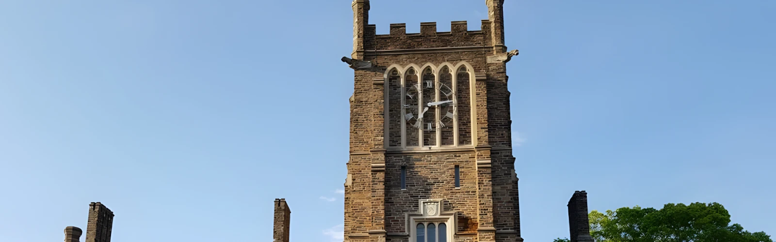 Paws and Relax: Pet-Friendly Hotels Near Duke University